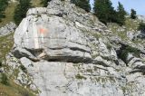 Bild-41