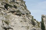 Bild-41