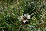 Bild-97