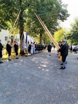 Bild-41