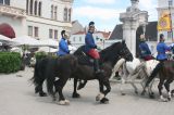 Bild-41