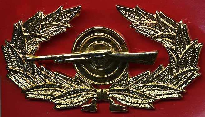 royal-thai-army-rifle-basic-shooting-badge