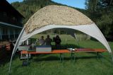 Bild-91