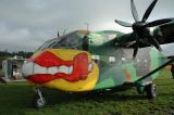 Bild-30