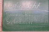 Bild-3