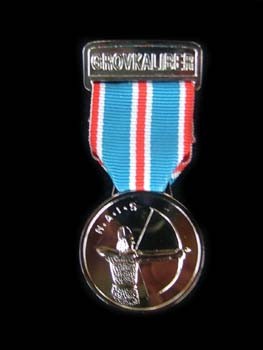 norge-shooting-badge