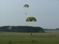 Landung in der DZ