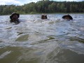 Rangertraining