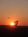 Sunset-Jump im Sommer