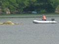 Bergen des Springers
