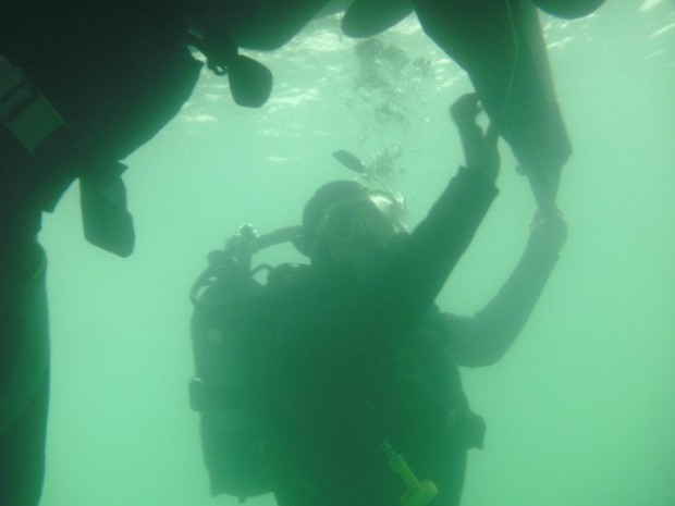 scuba-diver-special-course