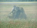 Bild-48