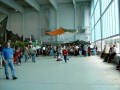Bild-97