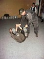 Bild-90