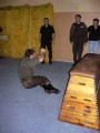 Bild-97