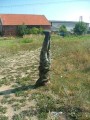 Bild-72