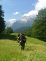 Bild-72