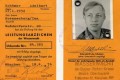 Bild-60