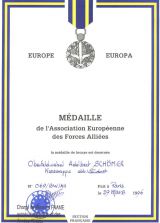 Medaile des Forces Alliées France