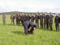 Bild-41