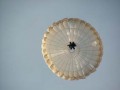 Bild-67