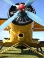 Bild-73