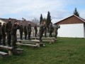 Bild-48