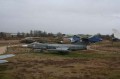 Bild-65