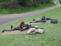 Bild-72