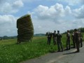 Bild-48