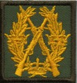 Swedish Rifle Badge in GOLD cloth