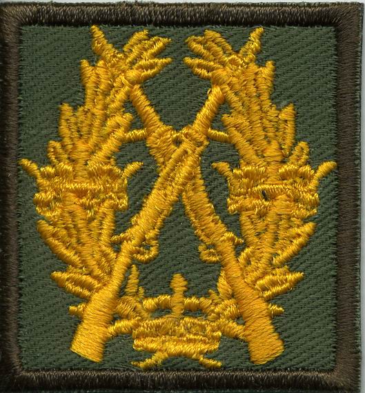 swedish-rifle-badge-in-gold-cloth