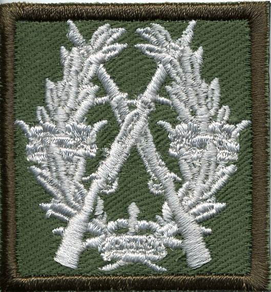 swedish-rifle-badge-in-silver-cloth
