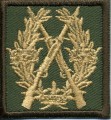 Swedish Rifle Badge in BRONZE cloth