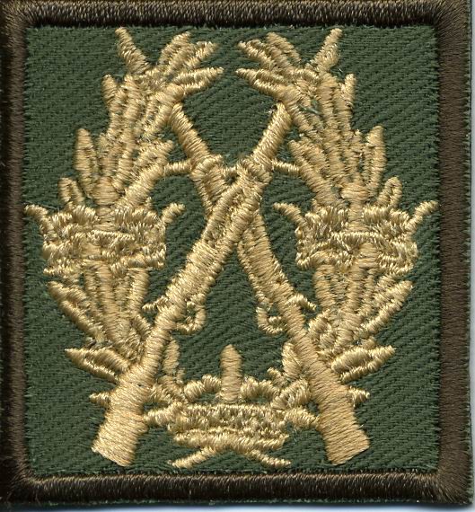 swedish-rifle-badge-in-bronze-cloth