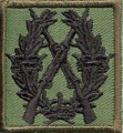 Swedish Rifle Badge