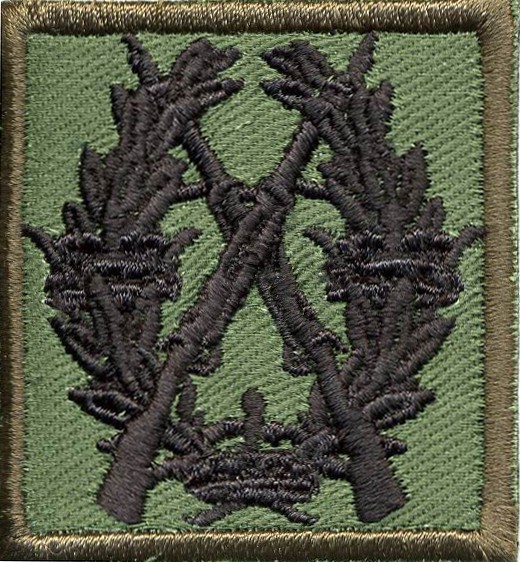 swedish-rifle-badge
