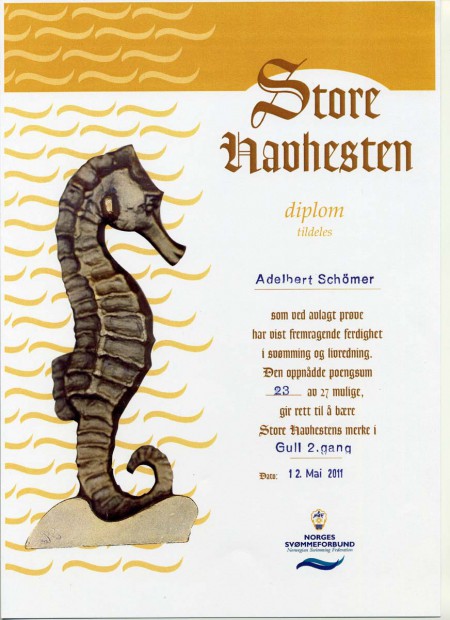2schwimmabzeichen-norwegen