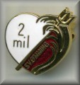 2 Meilen-Schwimmabzeichen