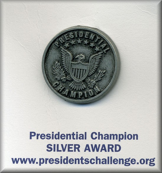 pca-pin-silver-award