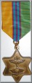 Krav Maga Medal in GOLD