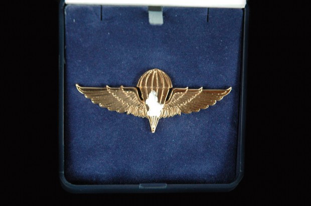 the-new-military-basic-wings