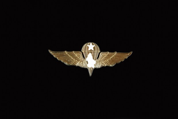 the-news-military-senior-wings