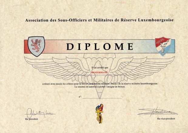document-of-the-new-military-wings