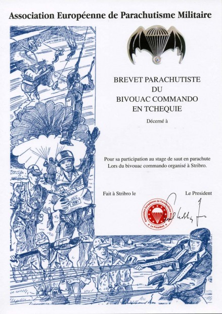 brevet-commando-in-silver