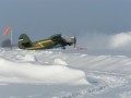 Winter Campaign