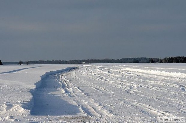 winter-campaign