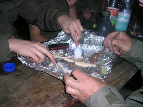 leckerer-fisch