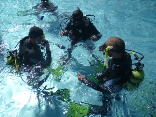 ausbildung-im-freibad
