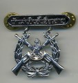 Royal Thai Navy Rifle Expert Badge